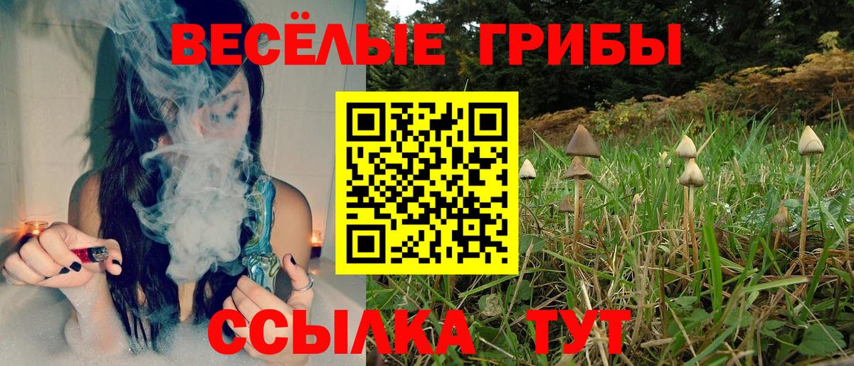 Малгобек  Галлюциногенные грибы прущие грибы  Псилоцибиновые грибы Magic Shrooms  Вход с VPN 